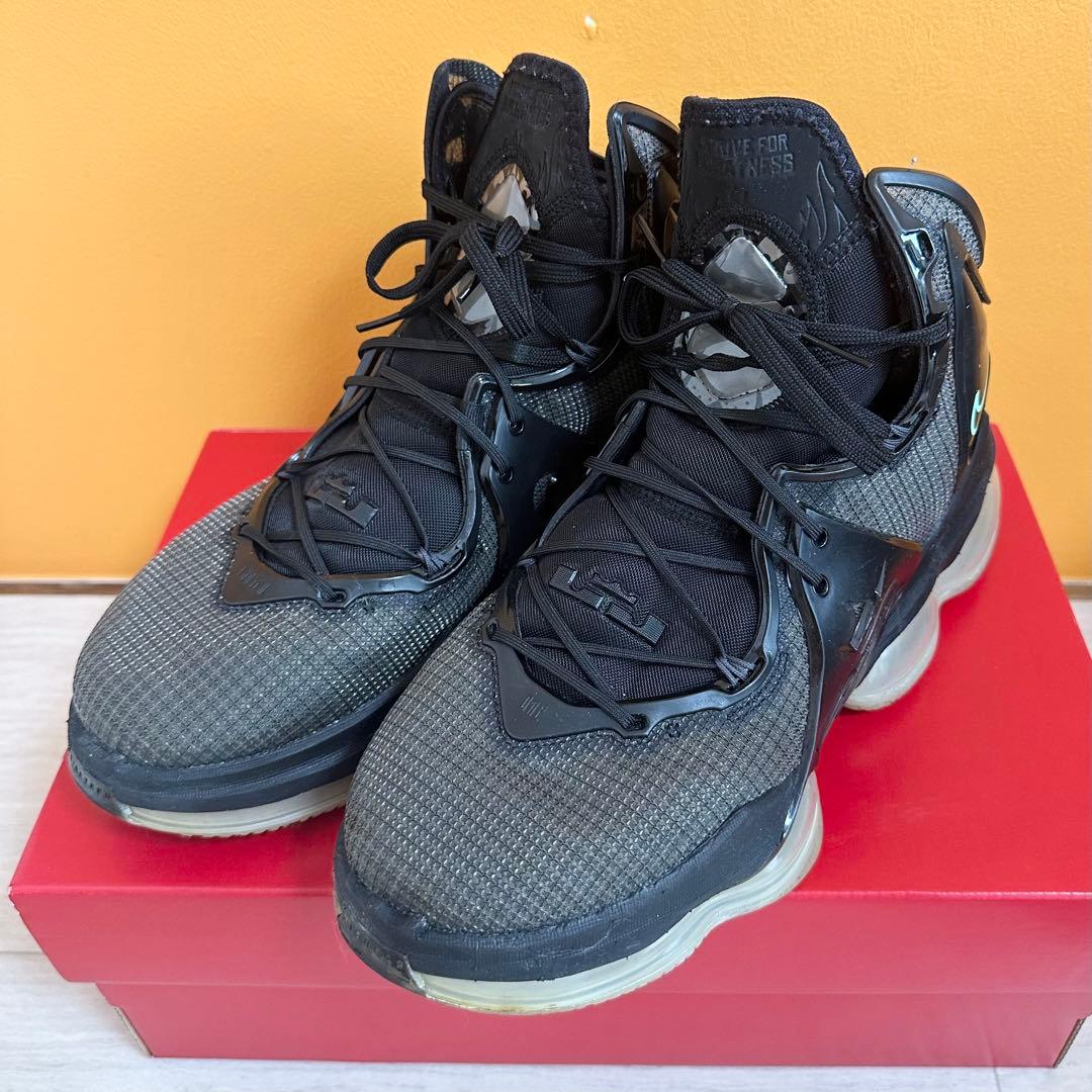 Nike LeBron 19 NIKE ナイキ　レブロン　27cm
