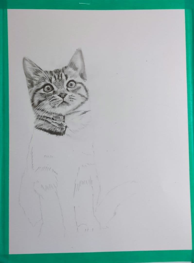 珀の鉛筆画　動物画　猫　　A3サイズ個展