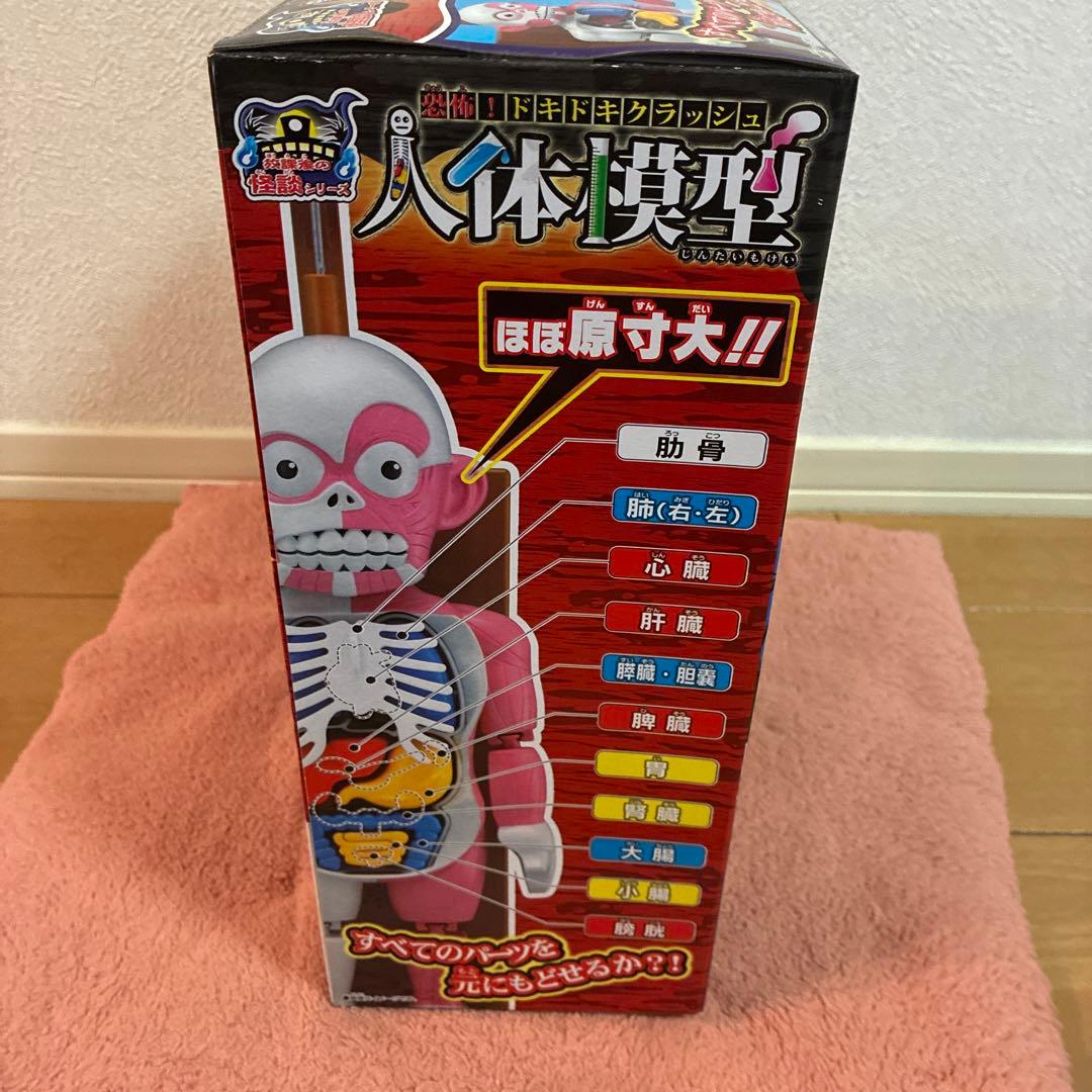 【新品未使用品】放課後の怪談シリーズ 恐怖! ドキドキクラッシュ人体模型　大賞