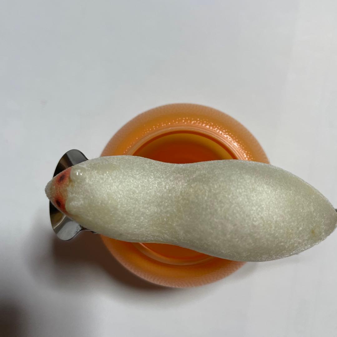 ヘドン メドウマウス heddon meadow mouse 未使用品