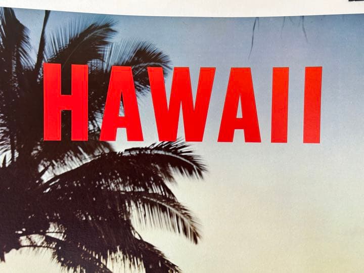 Northwest 航空 ビンテージ ポスター Hawaii poster