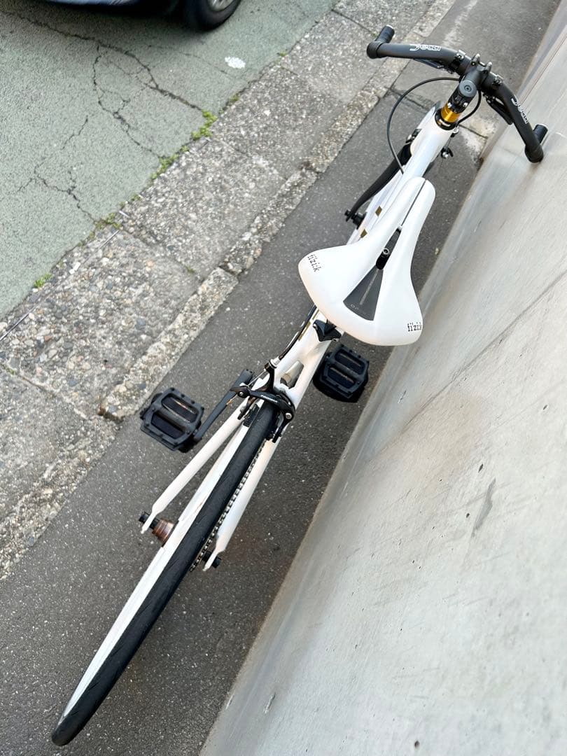 LEADER BIKE 725 TR CUSTOM M 白金 エアロピストバイク