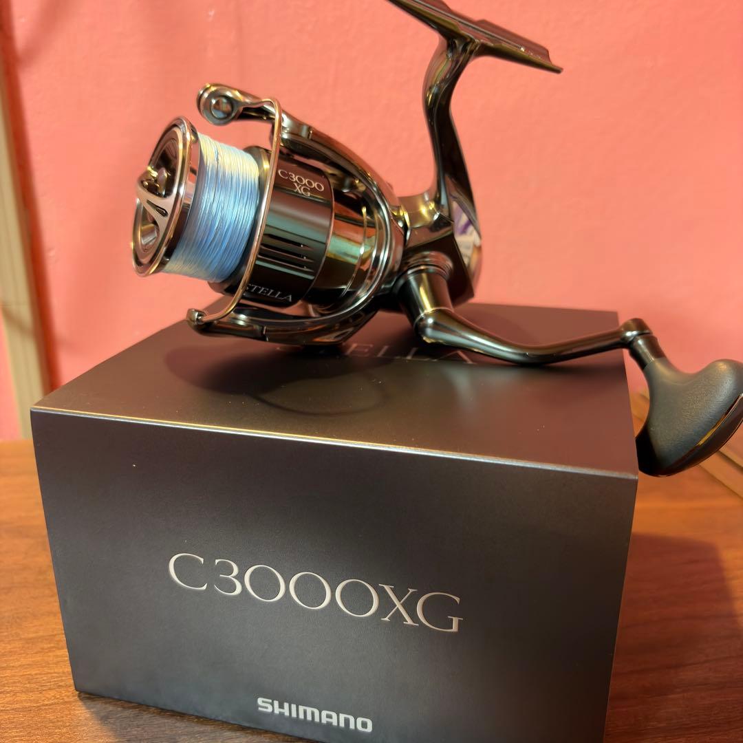 22ステラ C3000xg