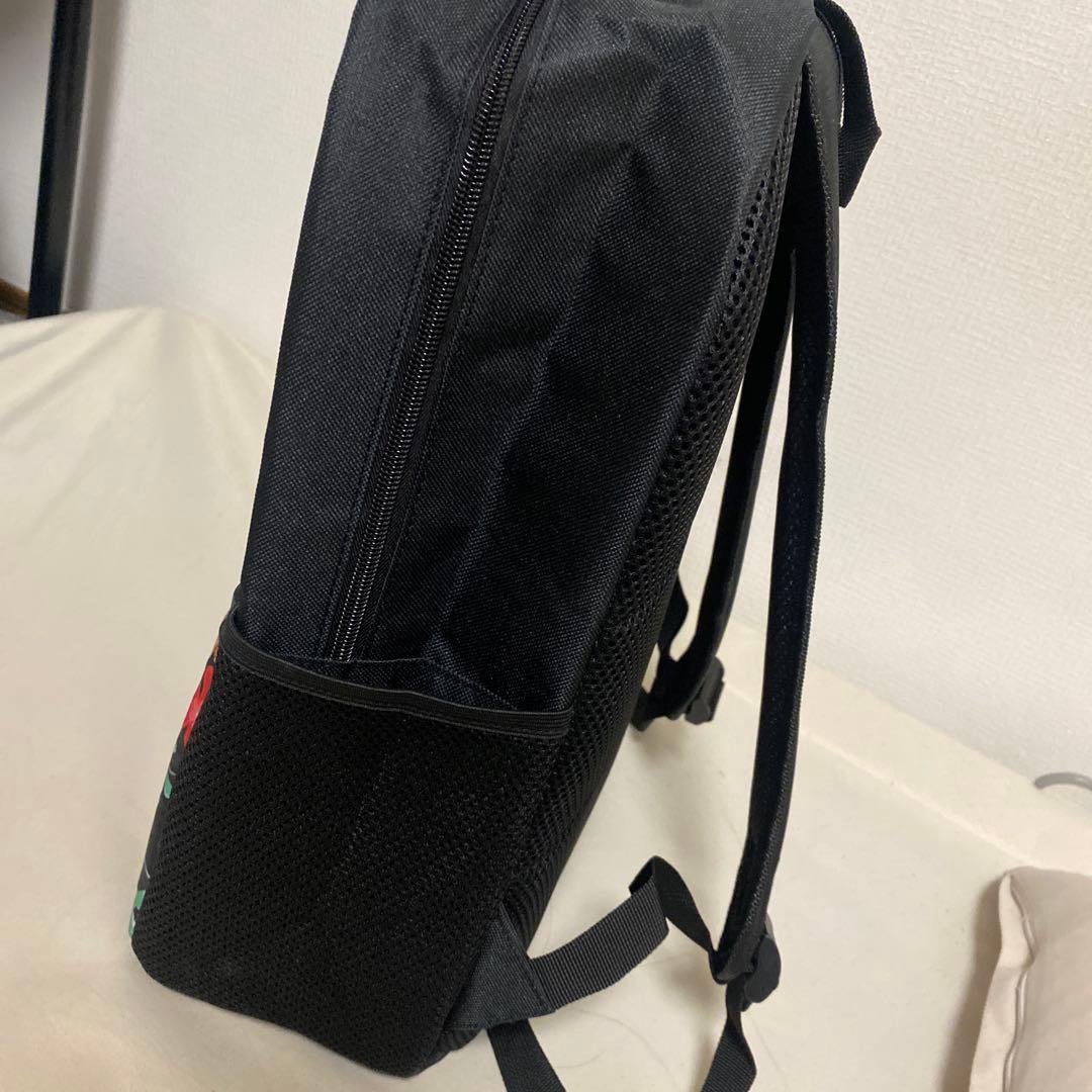アレキサンダーヘンリーフラガール　リュック