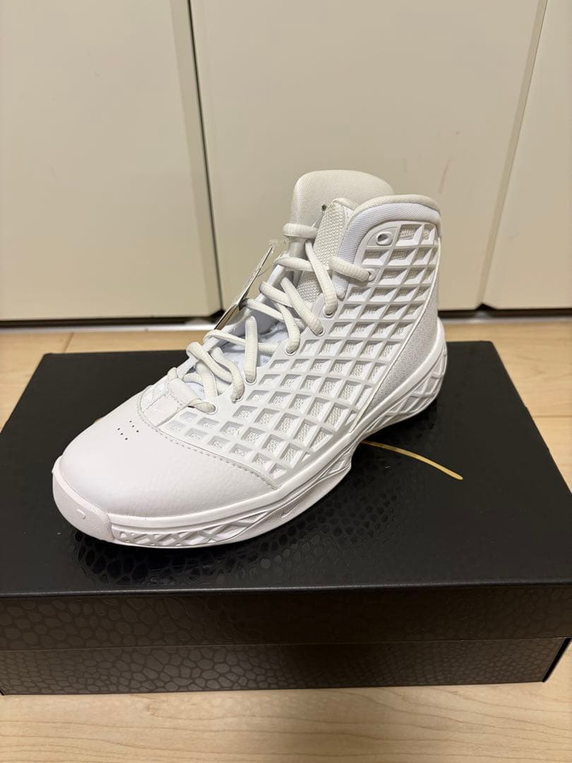 シューズ(男性用) NIKE KOBE 3 PROTRO 22.5cm