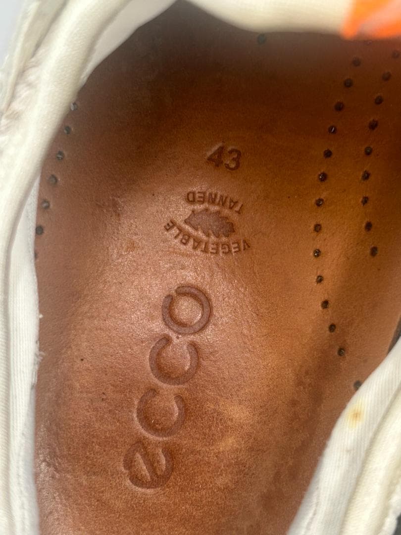 SK-271 ECCO M GOLF BIOM C4 サイズ43