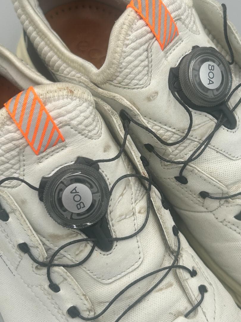SK-271 ECCO M GOLF BIOM C4 サイズ43