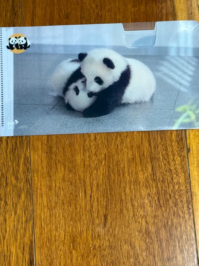 上野動物園　シャンシャン　レイレイ　シャオシャオ　クリアファイル