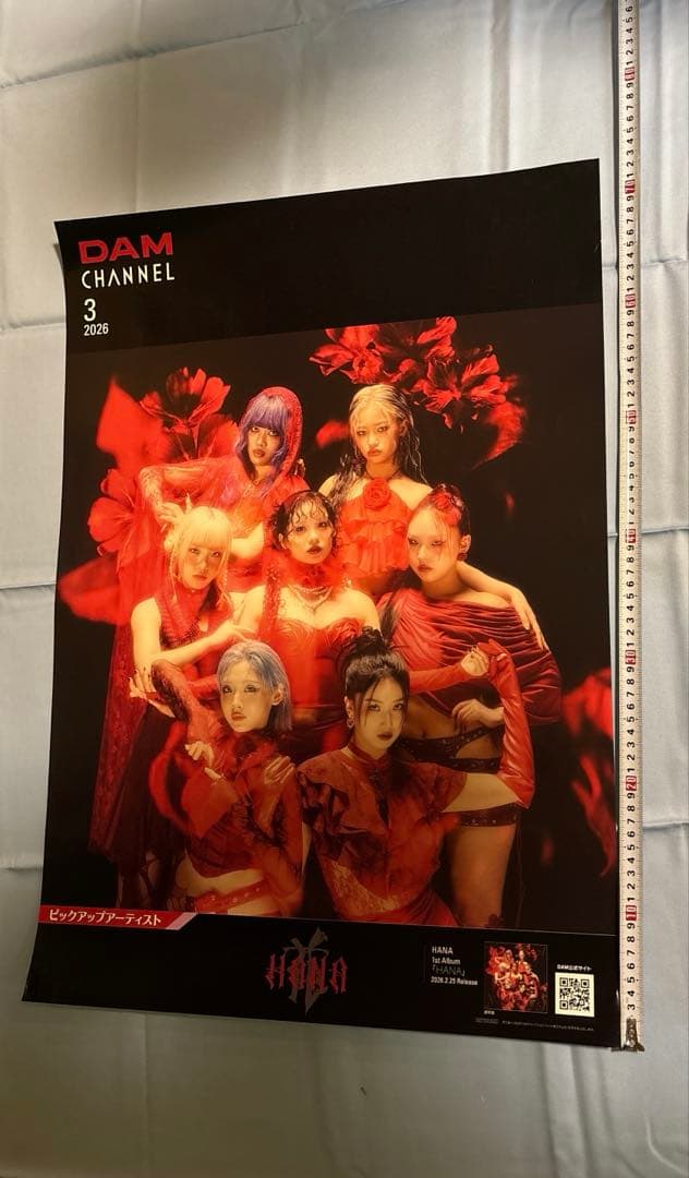 非売品 DAM HANA ポスター 2種セット 大サイズ 小サイズ