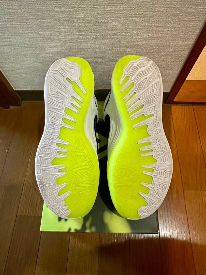 Nike ヤニスフリーク7 バスケットボールシューズ