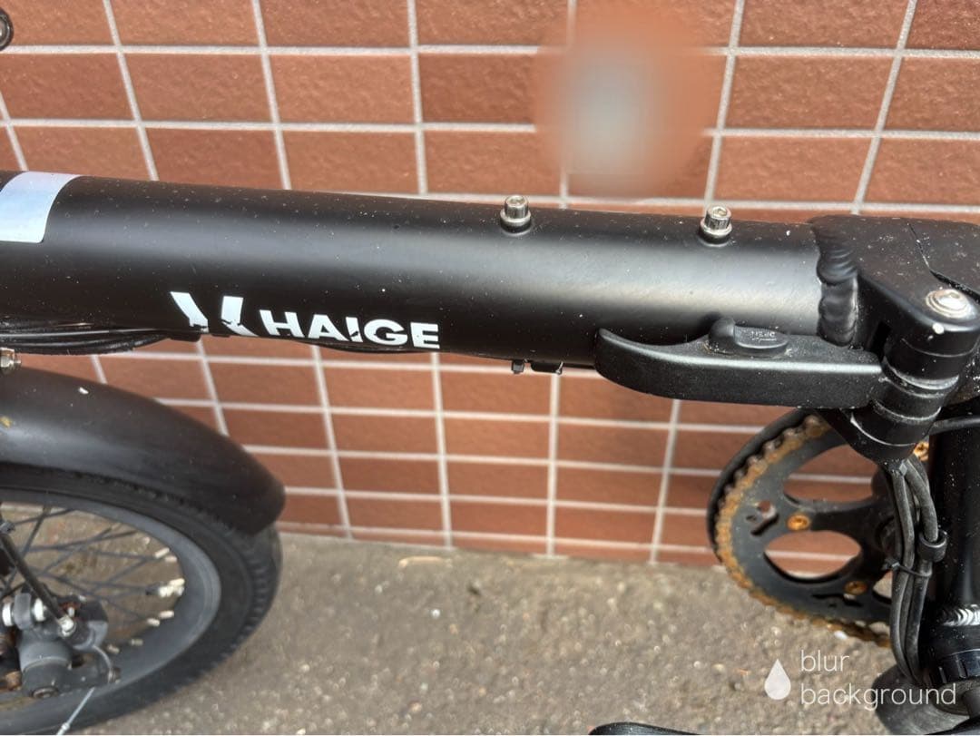 【直接引き渡しのみ】HAIGE 16インチ 電動アシスト折りたたみ自転車
