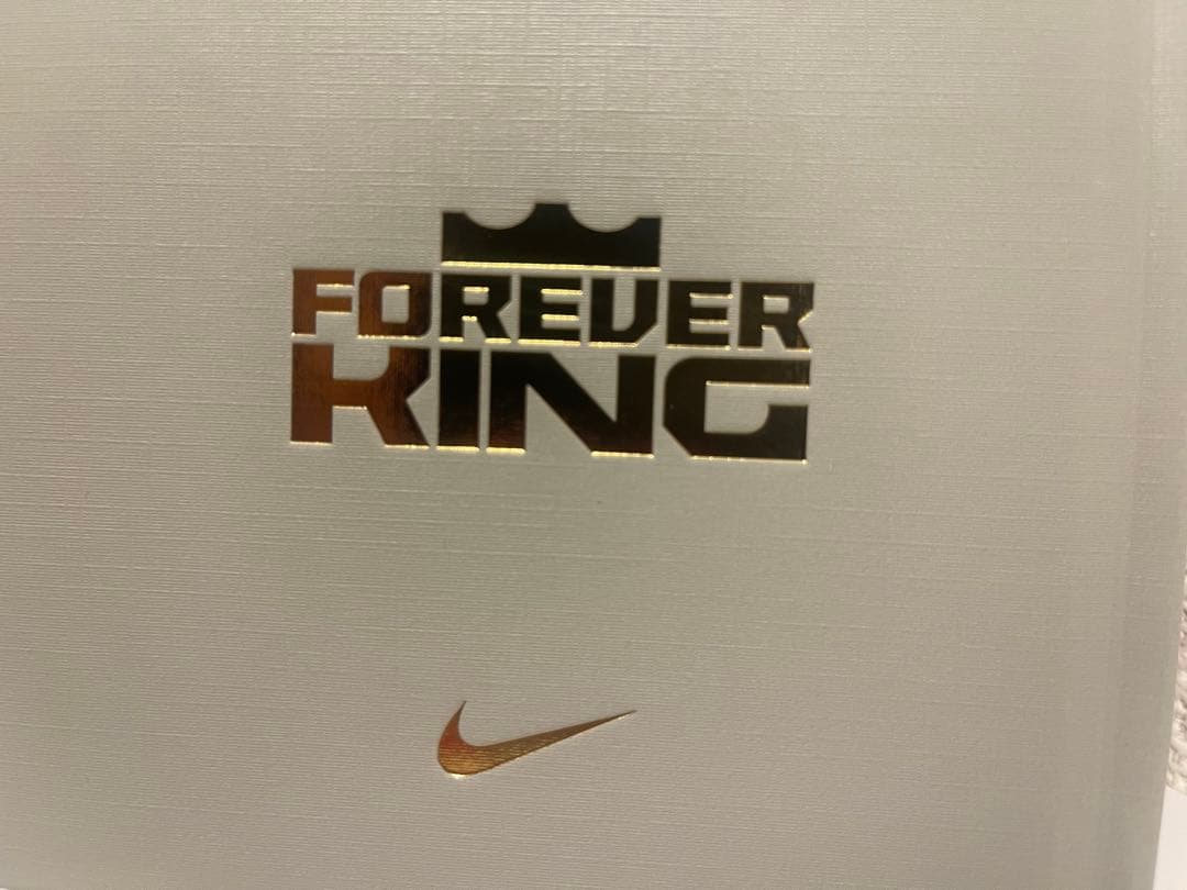 Nike LeBron 20 トラ柄 シューズ