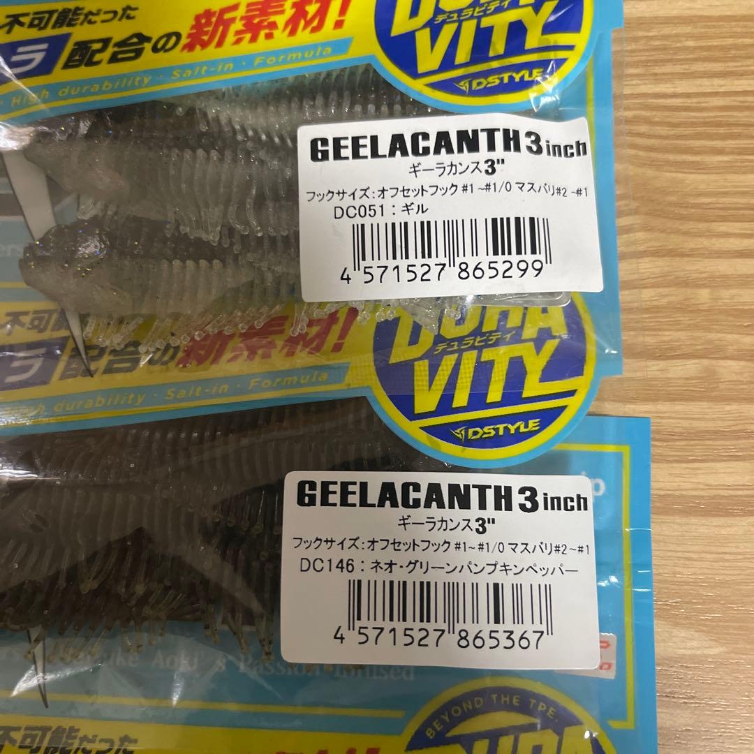 ギーラカンス3㌅　人気カラー５色セット