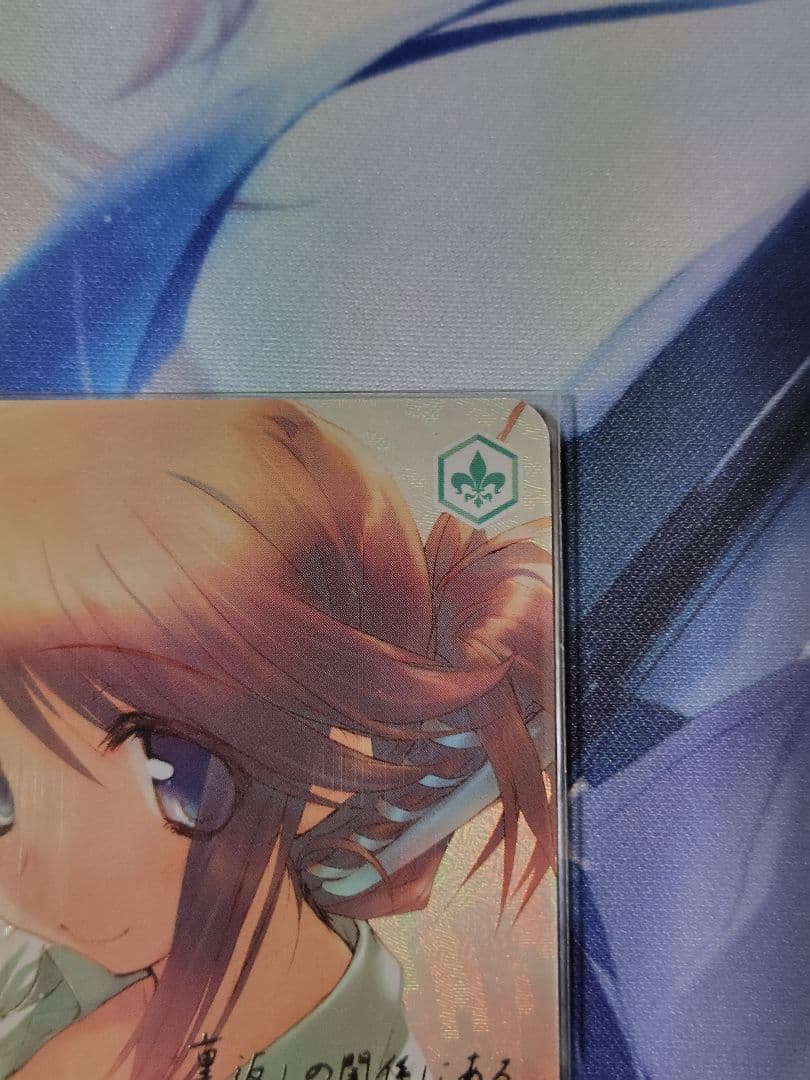 ヴァイスシュヴァルツロゼ　AQUAPLUS　男のコは苦手　愛佳　SP