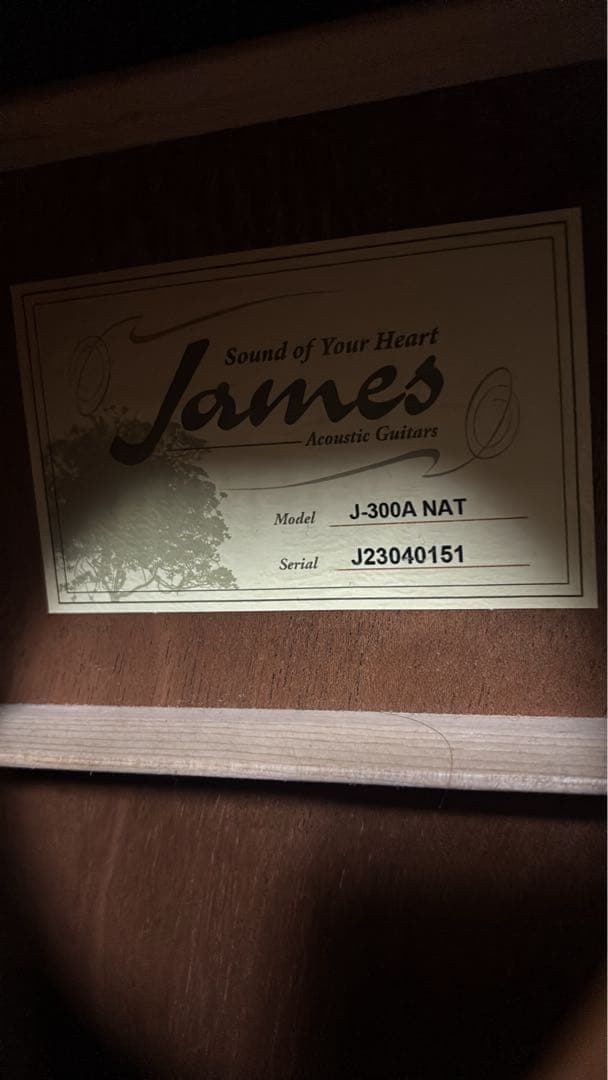 アコースティックギター James J-300A ケース、スタンド、本付き