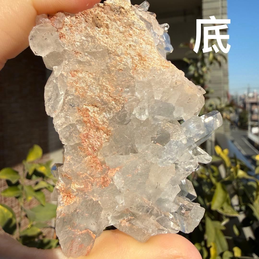 覚羅