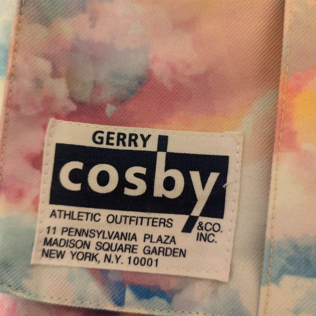 新品未使用　cosby スノーウェアレディースL