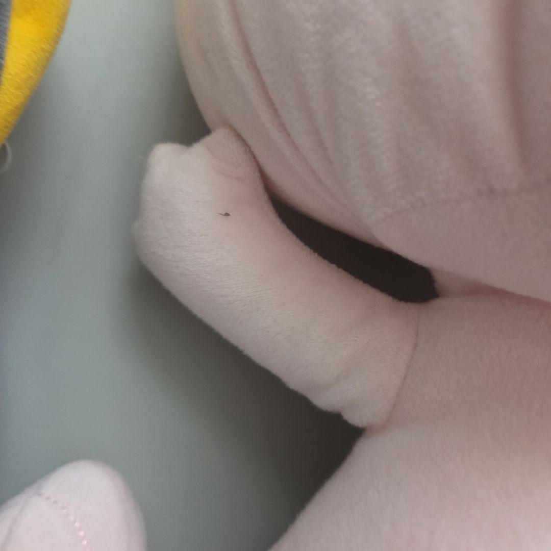 ポケモン ぬいぐるみ　7体　まとめ売り