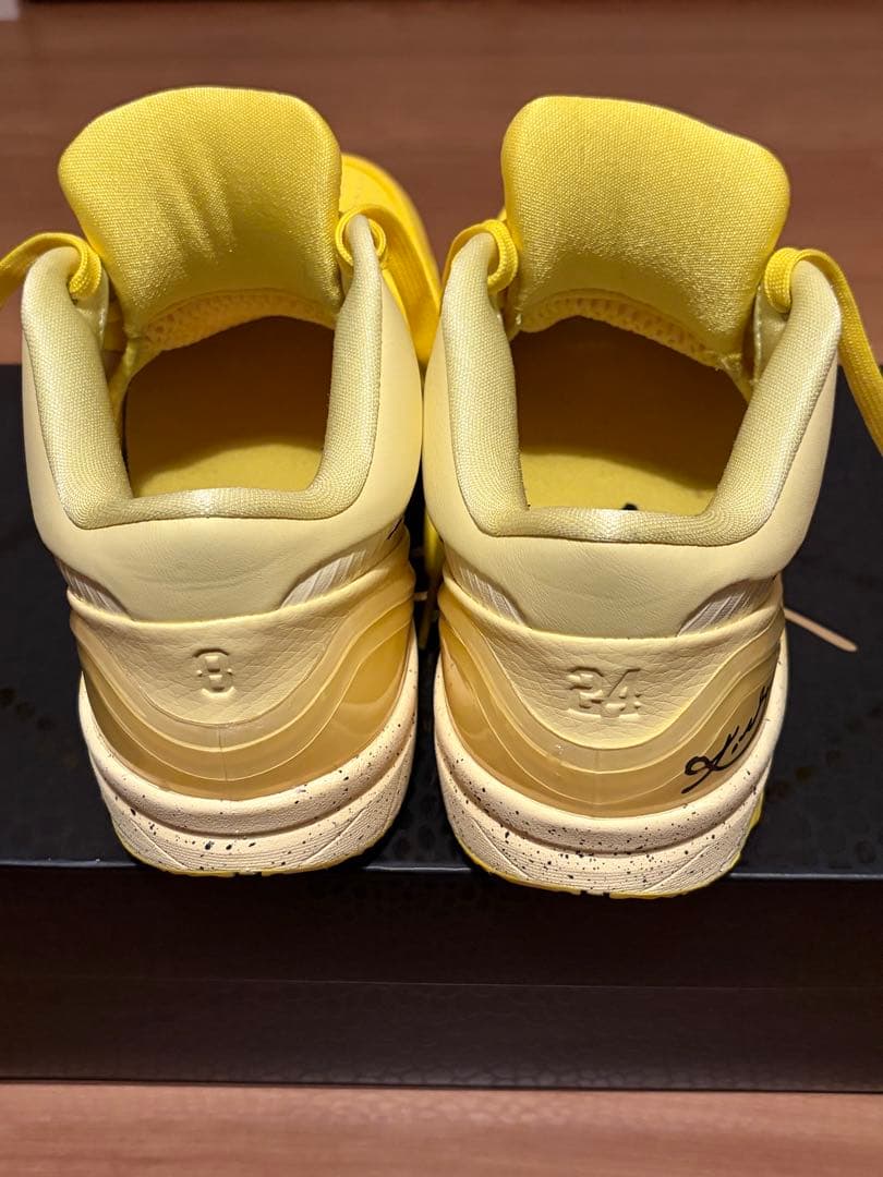ステフィンカリー着用Nike kobe4 Protro CHBL 25.5cm