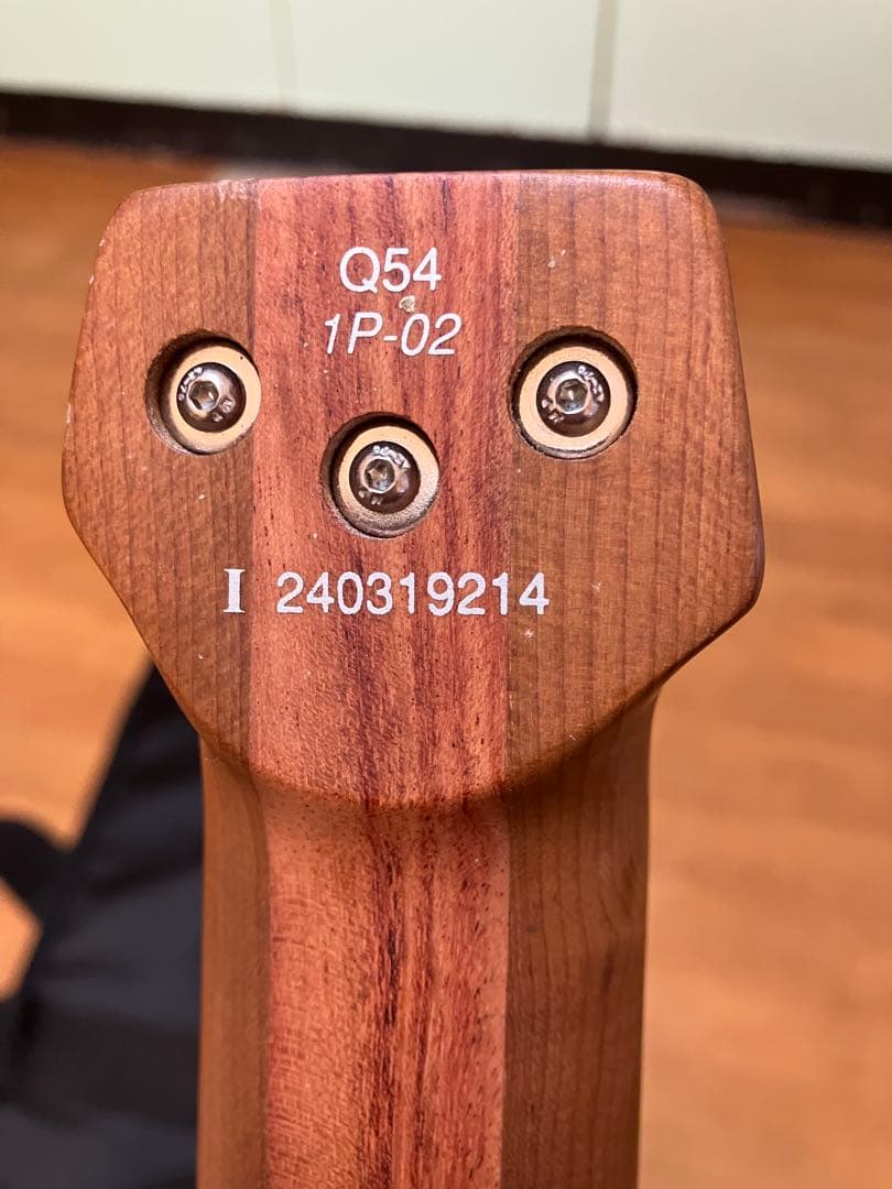 Ibanez G54SFM エレキギター SFMカラ
