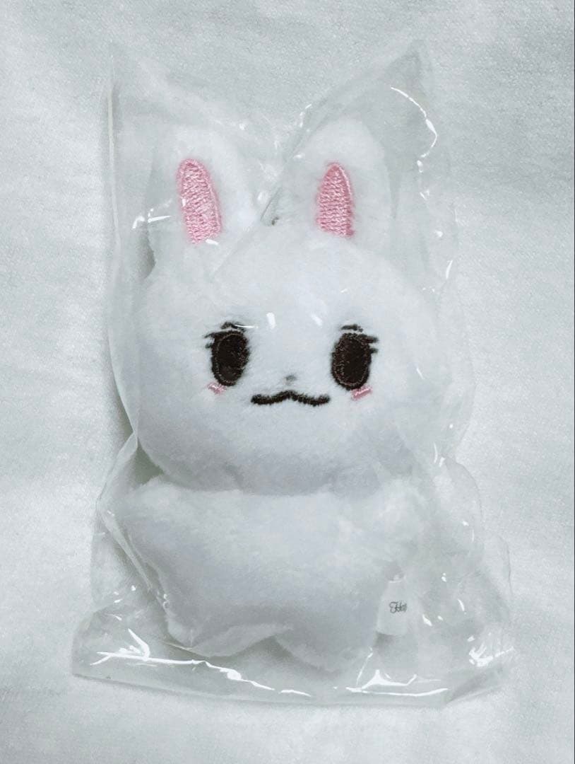 ASTRO チャ・ウヌ ぬいぐるみ 2点セット マスター 新品