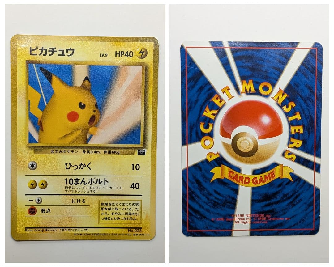 旧裏 + 初期 バインダー セット(バクフーン、サザンアイランド、ピカチュウ他)