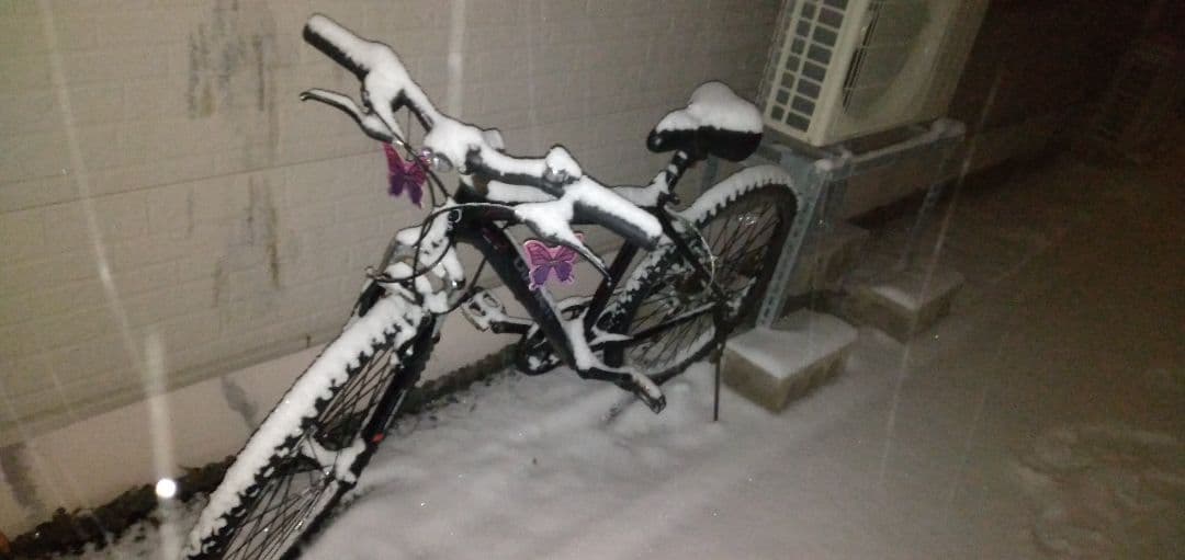 自転車(マウンテンバイク)