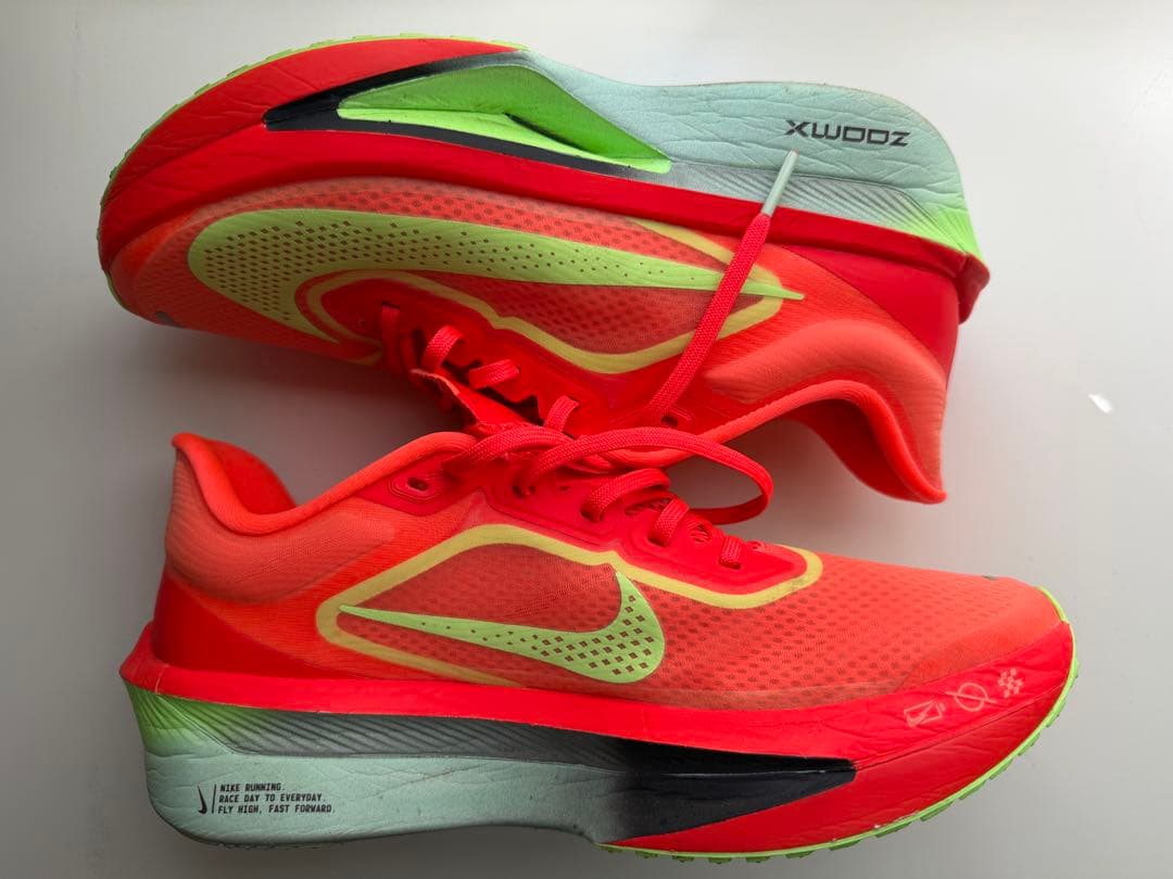 【26.0cm】 NIKE ZOOM FLY6