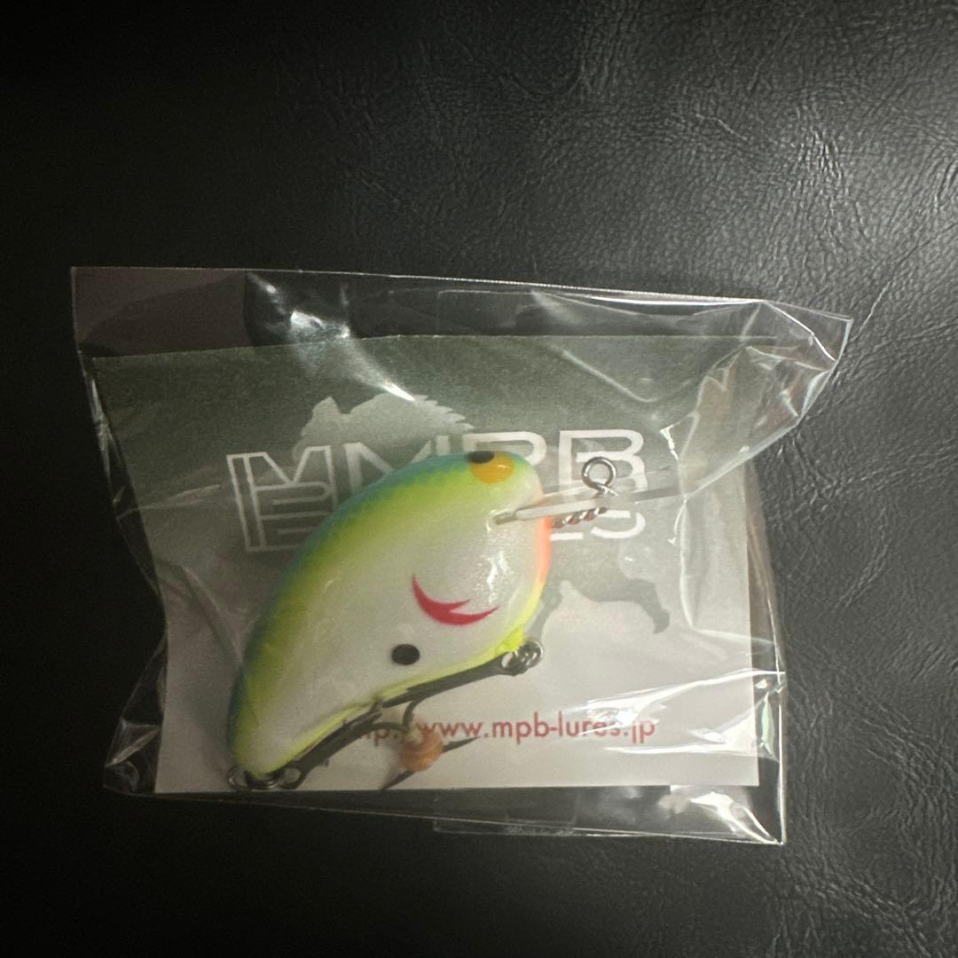 ワイルドボア　mpb wild boar MR