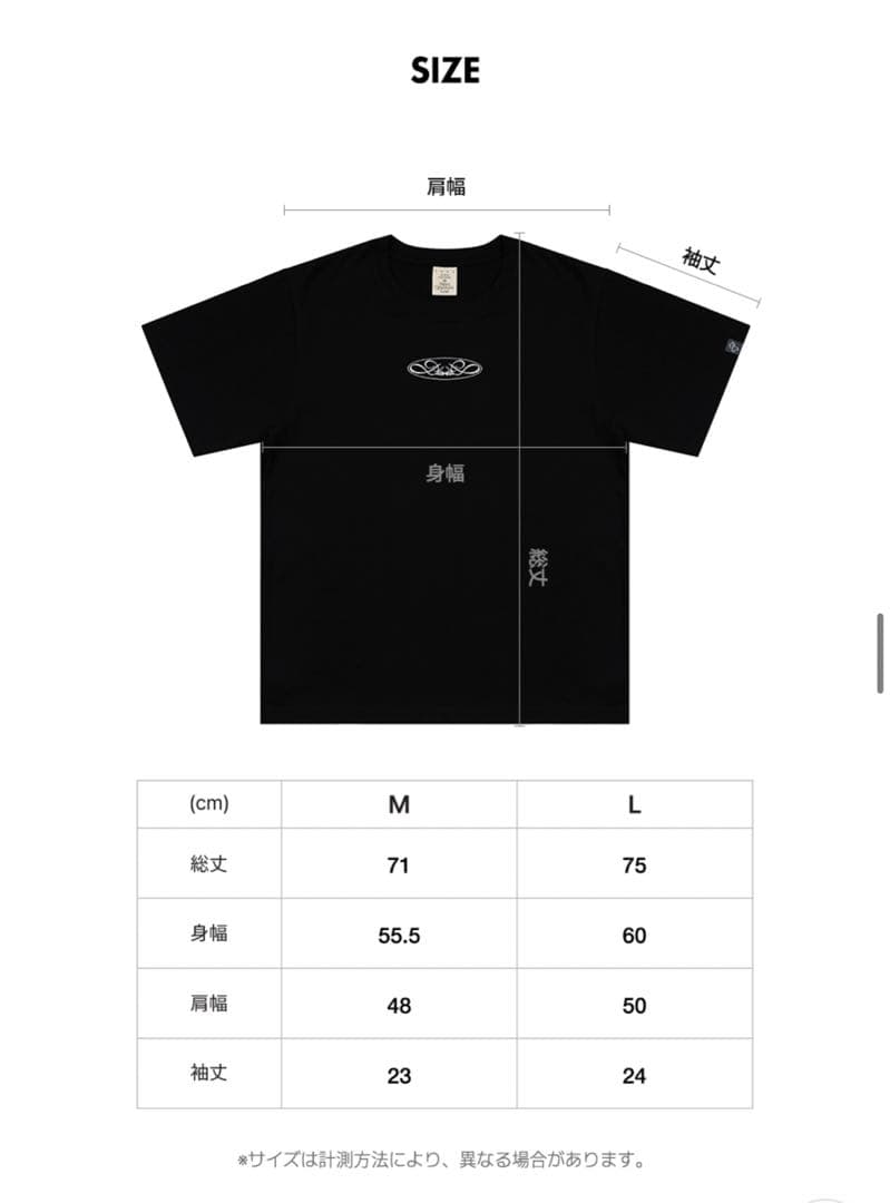 PLAVE プレイブ 2025 TOUR Tシャツ＆特典ホログラムカード＆バッグ