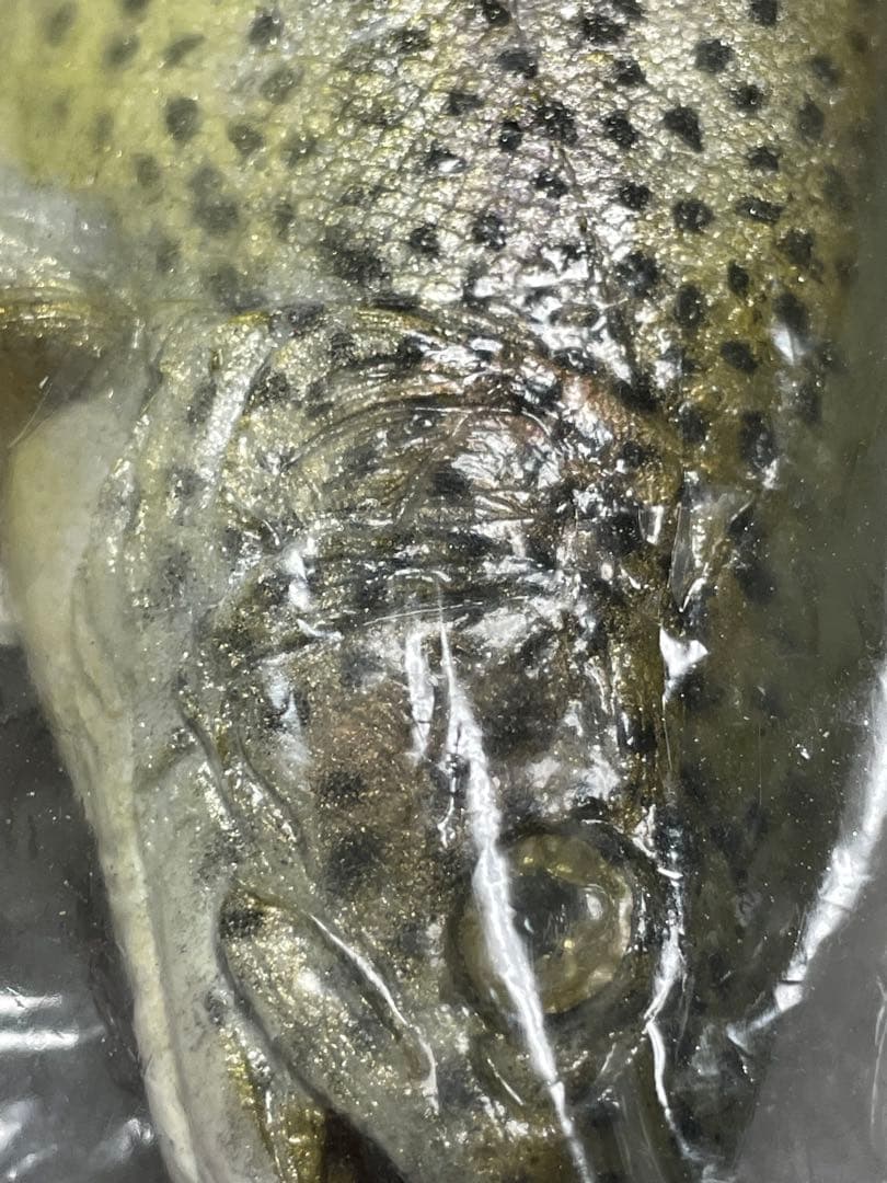 MATTLURES Dead Stick スイムベイト　マットルアーズ