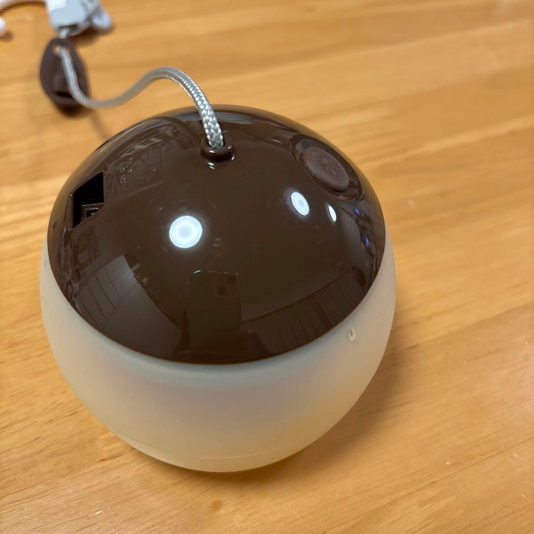 スノーピーク　ほおずき たねほおずき　土セット
