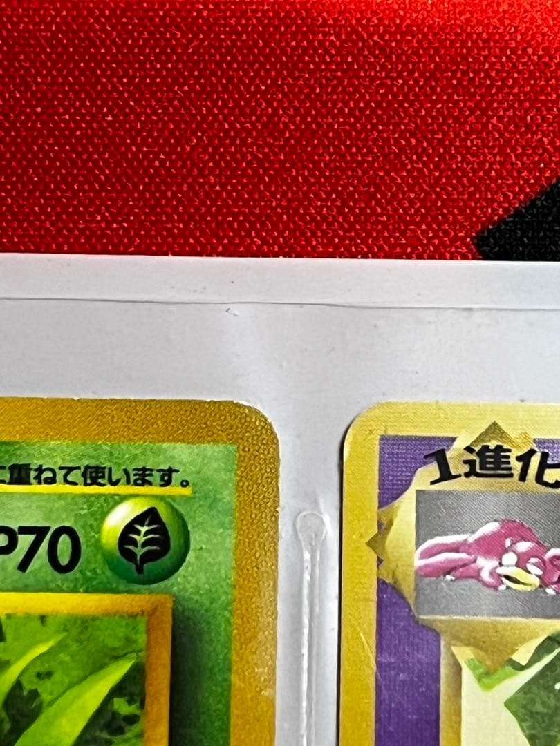 【旧裏】サザンアイランド　トロピカルアイランド〜ジャングル〜　ポケモンカード