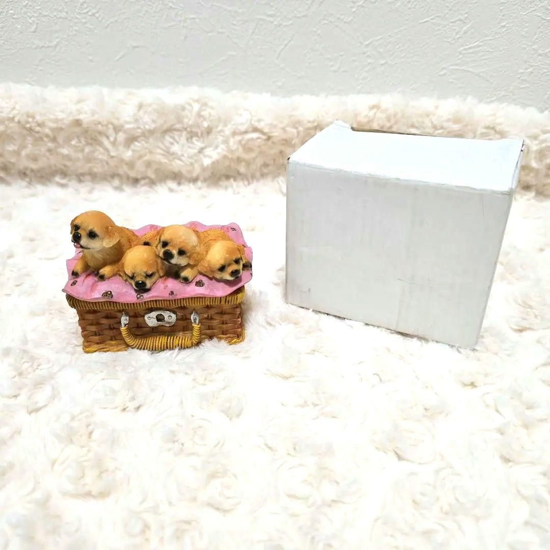新品 かわいい子犬 小物入れ 外箱あり