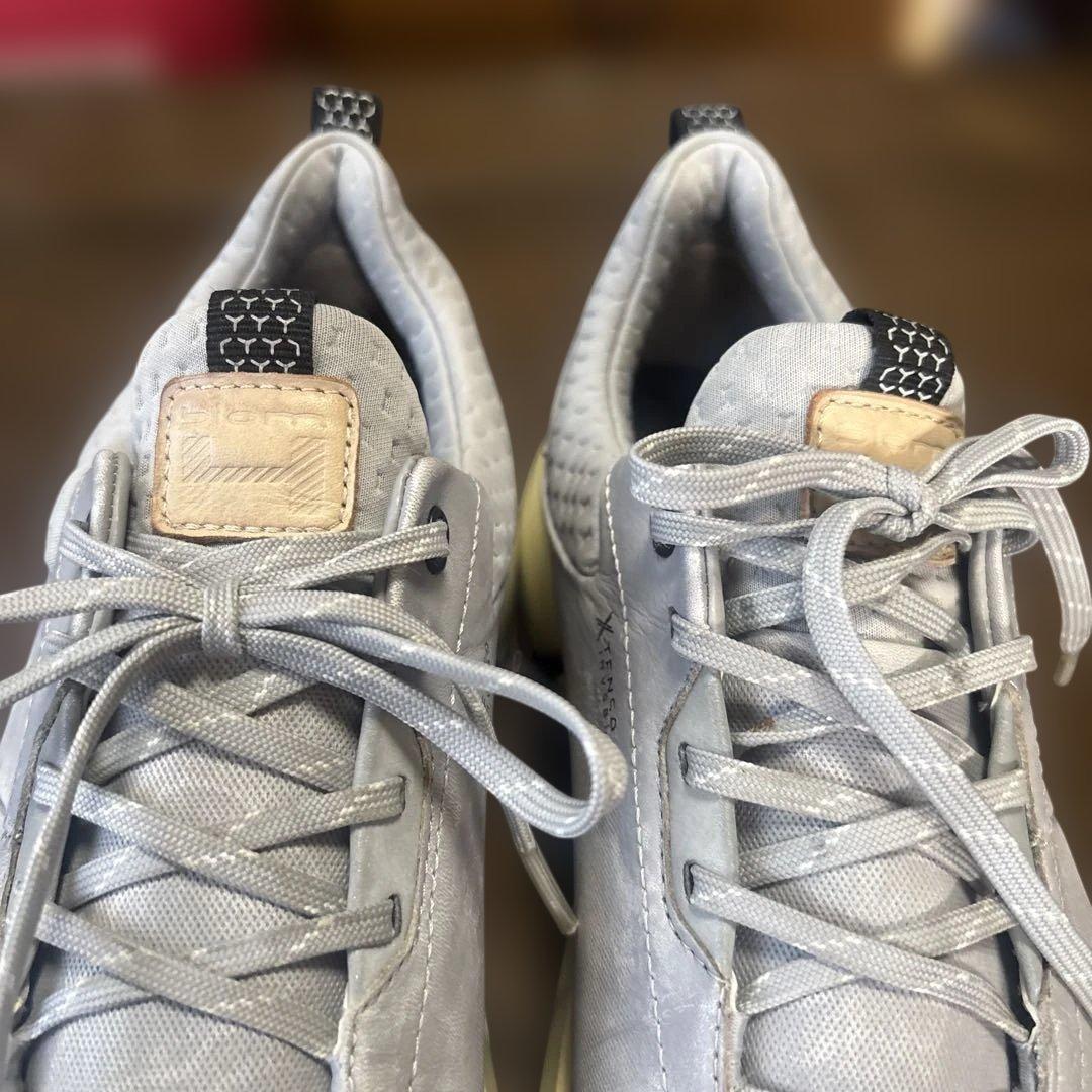 ECCO GOLF Biom H4 ゴルフシューズ EU43 27cm相当