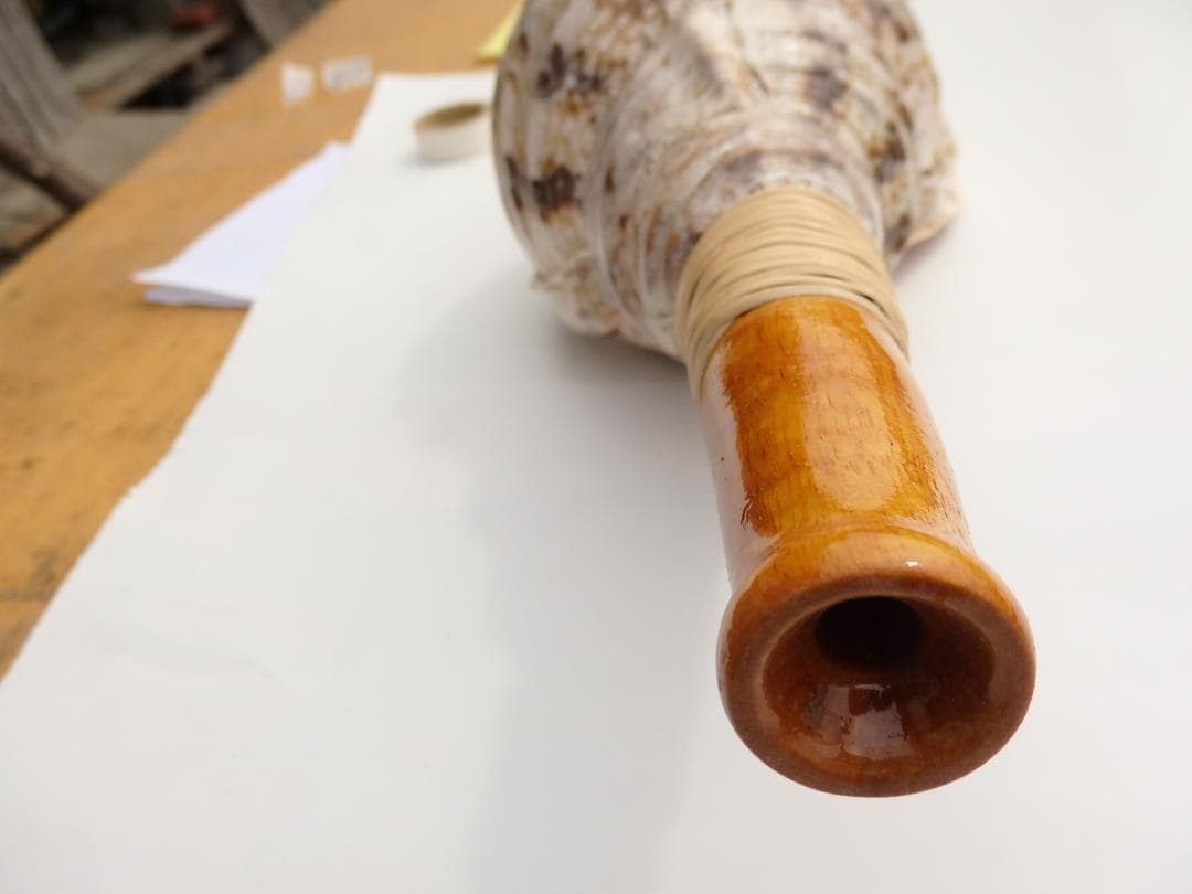 法螺貝 約37.5㎝ 木製歌口,新品 MH-452