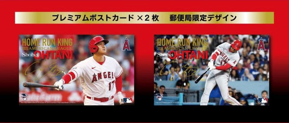 【半額処分セール】　大谷翔平2023ホームラン王獲得記念！