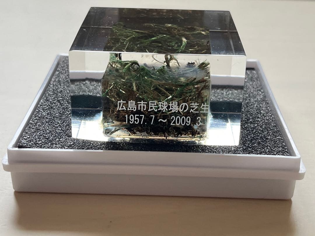 広島市民球場の芝生