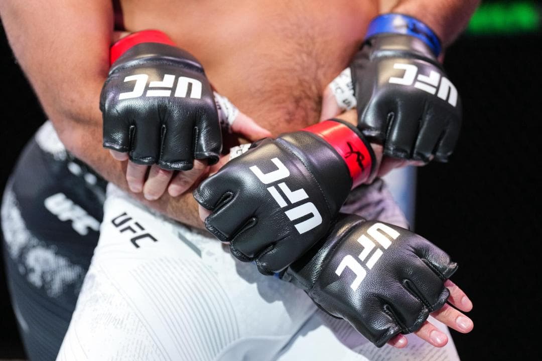 公式販売店【独占】UFC3Eight 公式試合用　グローブ新品 激レアXS-L