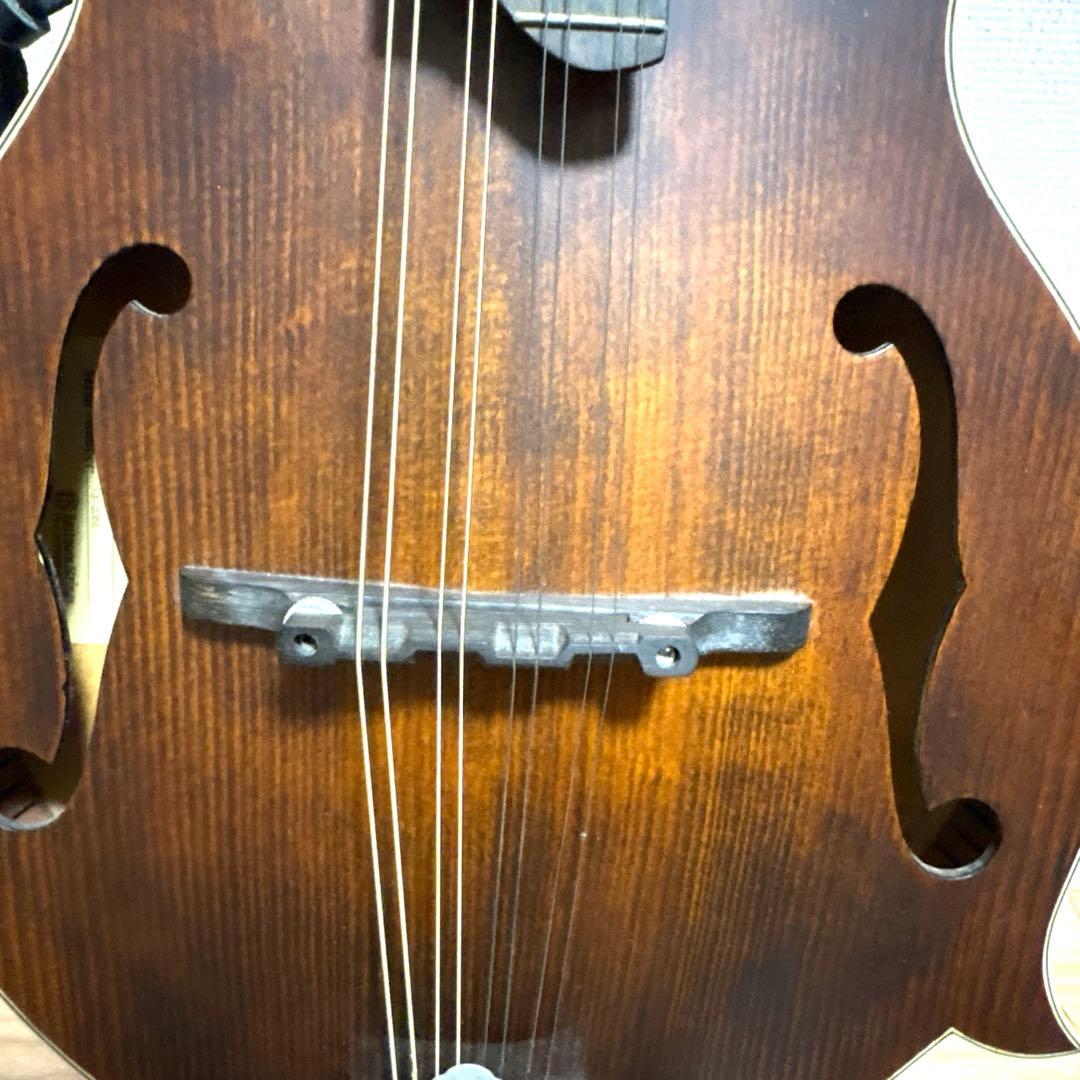 Eastman マンドリン md-315 ケース　スタンド　レザーストラップ付き