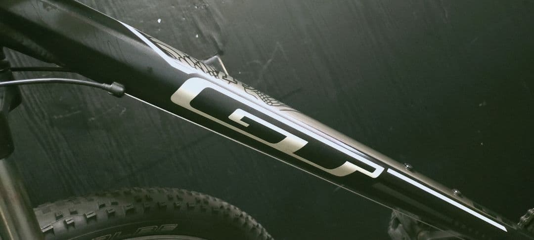 スポーツ。ジーテイ（GT）29インチ