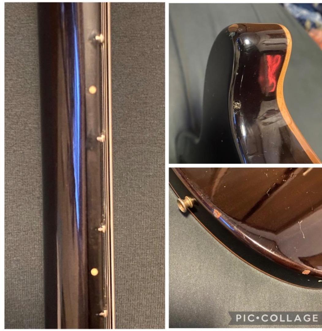 FERNANDES APG-100 USA Custom PRSタイプ エボニー