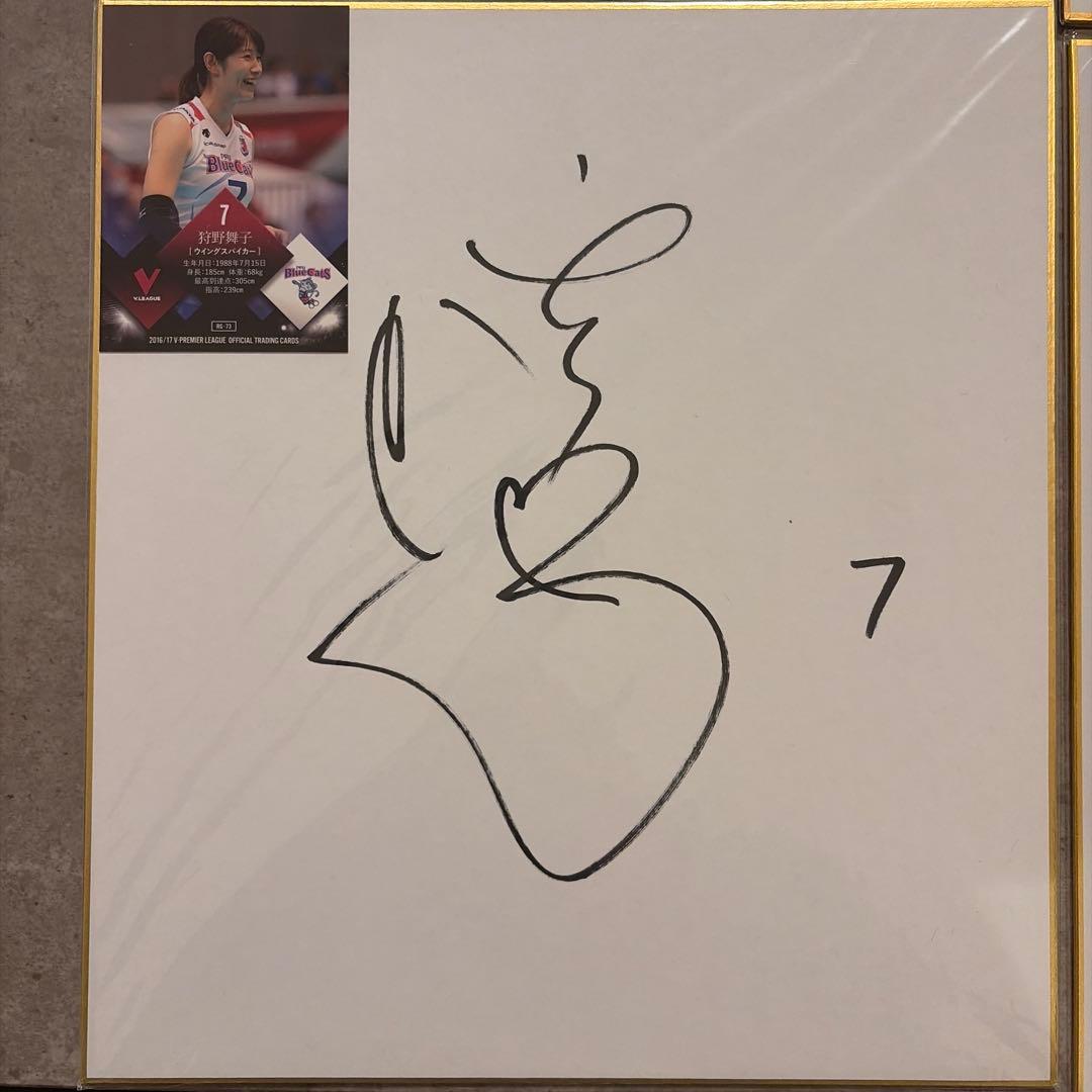 バレーボール選手 サイン 8枚セット