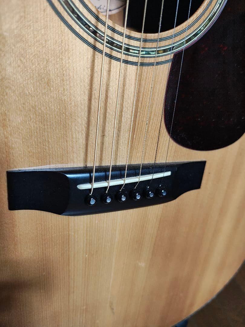 Morris アコースティックギター w40ドレッドノート
