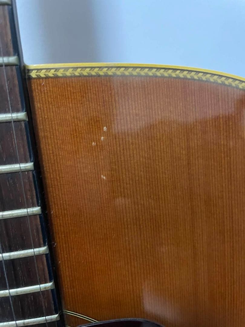 ギター MORRIS GO TF-60H model