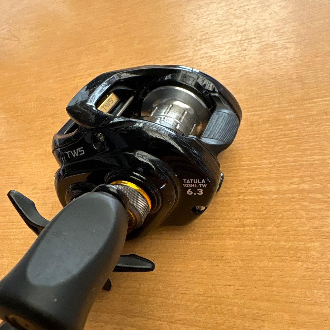 DAIWA(ダイワ) TATULA (タトゥーラ) 103HL-TW