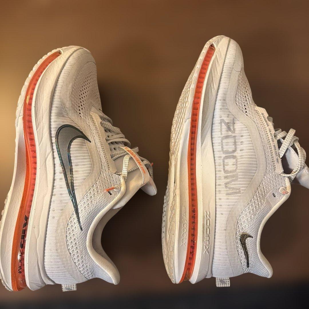 NIKE AIR PEGASUS premium ペガサス　プレミアム 28.0