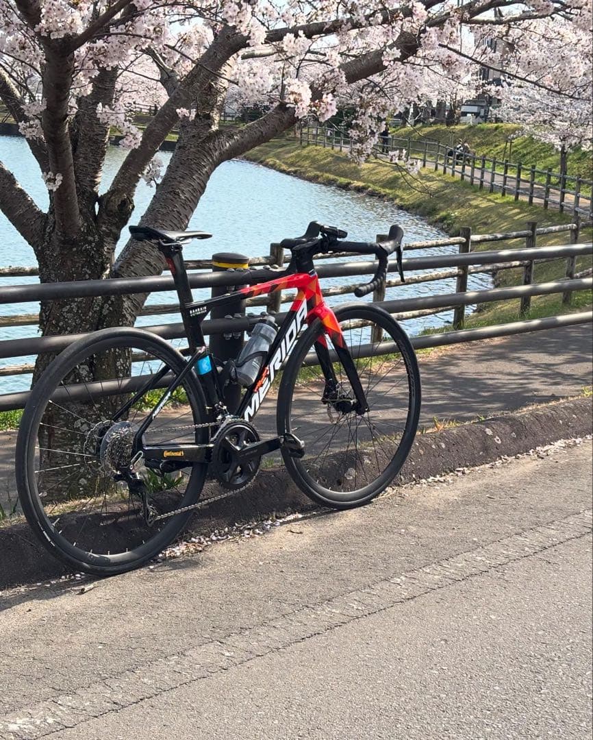 MERIDA REACTO 4000 関東手渡し希望