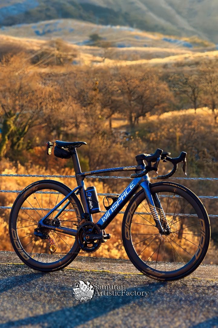 WINSPACE T1550　スパークルカラー ロードバイクフレーム