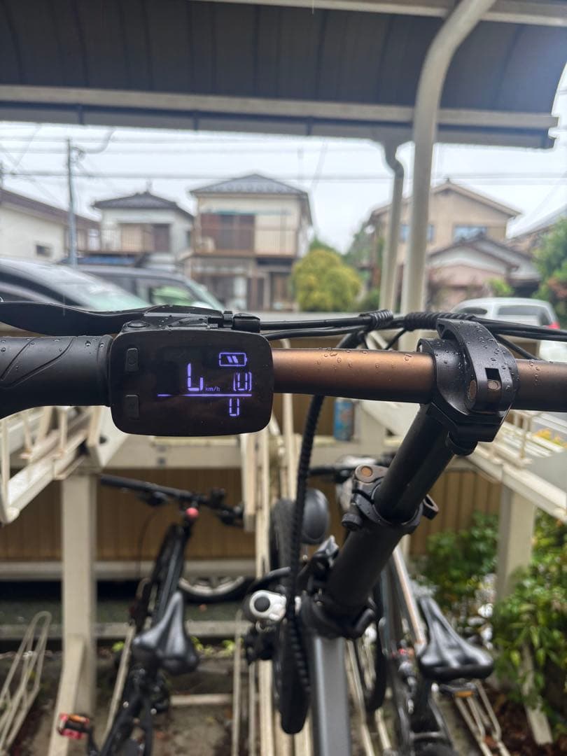 Zhengfu 電動アシスト自転車 シティタイプ